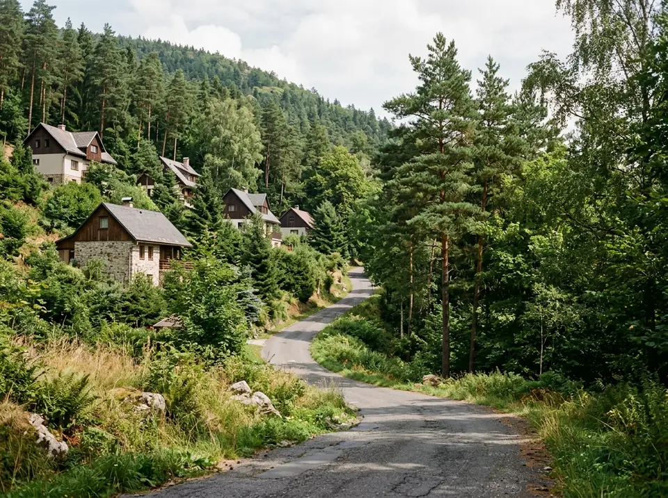Keskeny, emelkedő aszfaltút fenyők között, kertes házakkal a domboldalon.